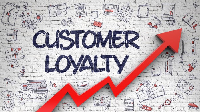 Building a Brand Loyalty Program